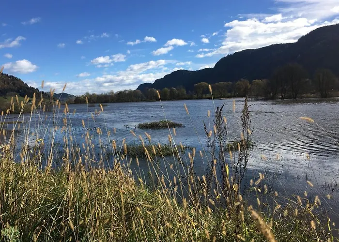 아파트 Mona Haus Kmb Seeblick Ossiacher See, Hallenbad, Skiarena Gerlizen *